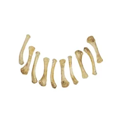 Knochenset Aus Gießharz - Hühnerbeine (10 Stk.)